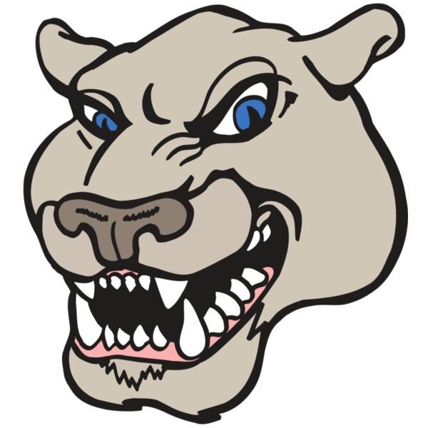 AR5 COUGAR 10 RQC Miniaturansicht