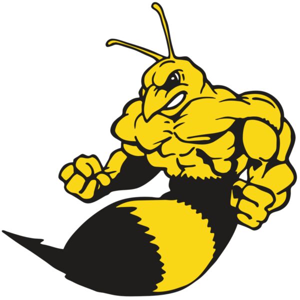 AR3 BEE 01 RQC Miniaturansicht