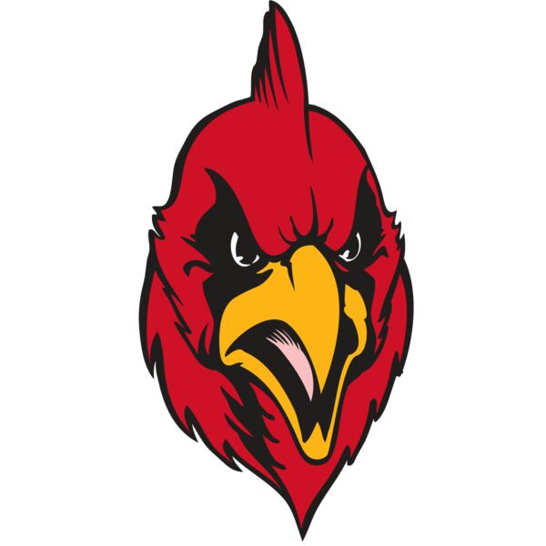 BAW CARDINAL 11 RC Miniaturansicht