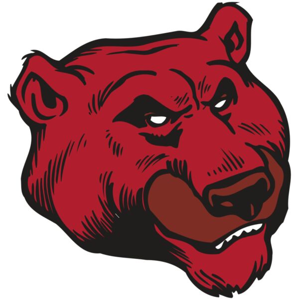 AR BEAR 10 RC Miniaturansicht