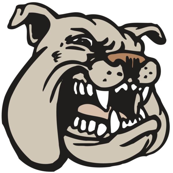 AR BDOG 38 RC Miniaturansicht