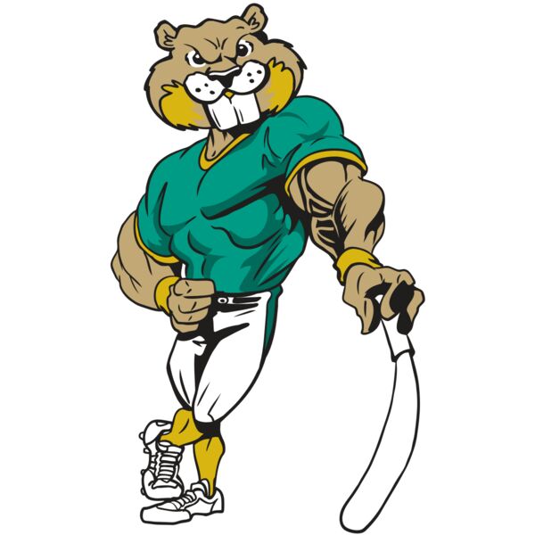 AR4 BEAVER 01 RQC Miniaturansicht