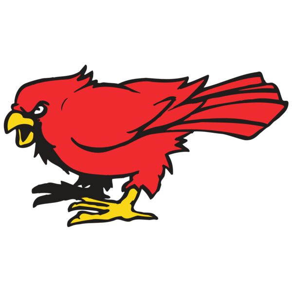 AR CARDINAL 11 RC Miniaturansicht