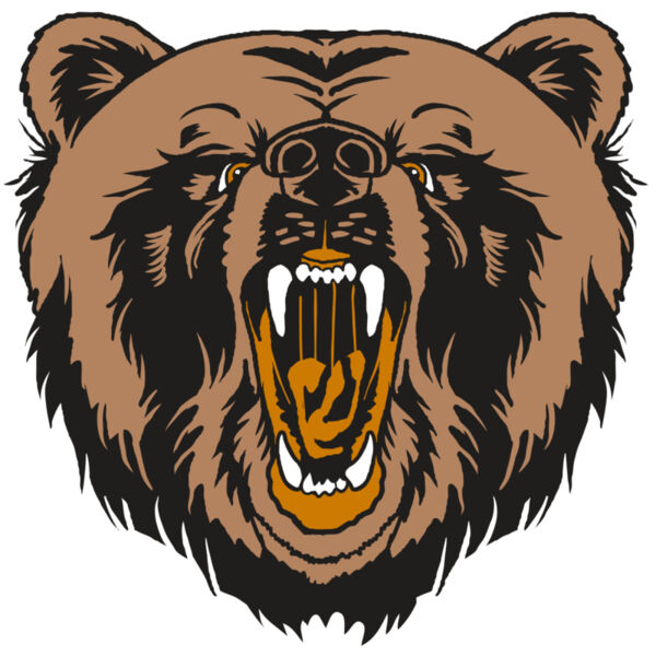 AR31 BEAR 01 RQC Miniaturansicht