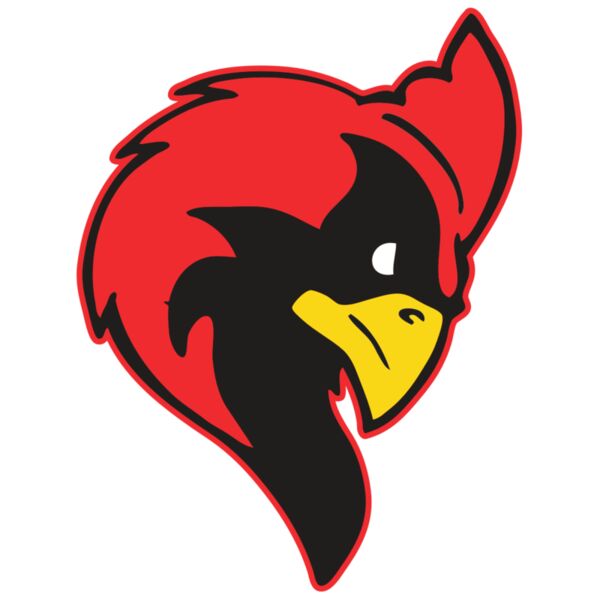 AR CARDINAL 24 RC Miniaturansicht