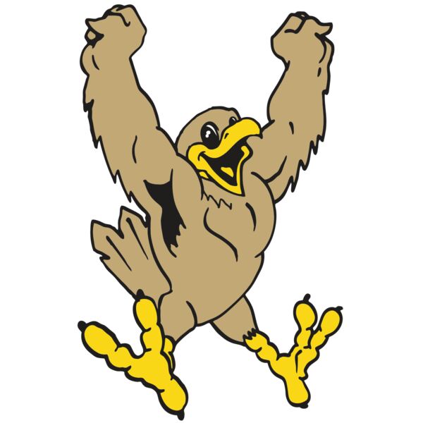 AR EAGLE 21 RC Miniaturansicht