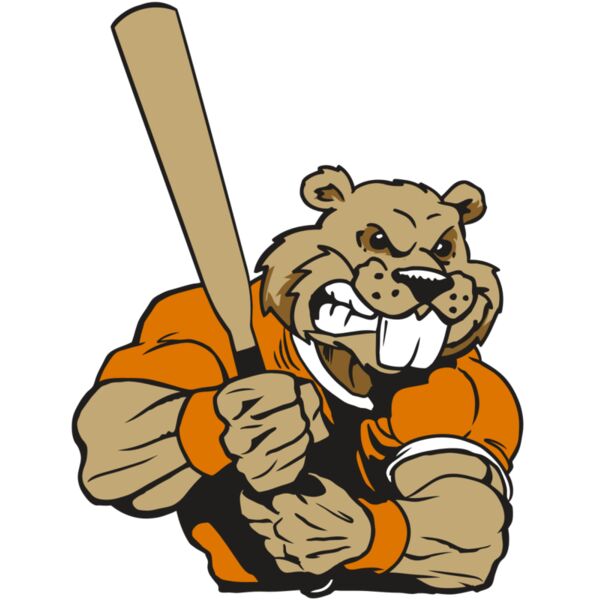 AR4 BEAVER 04 RQC Miniaturansicht