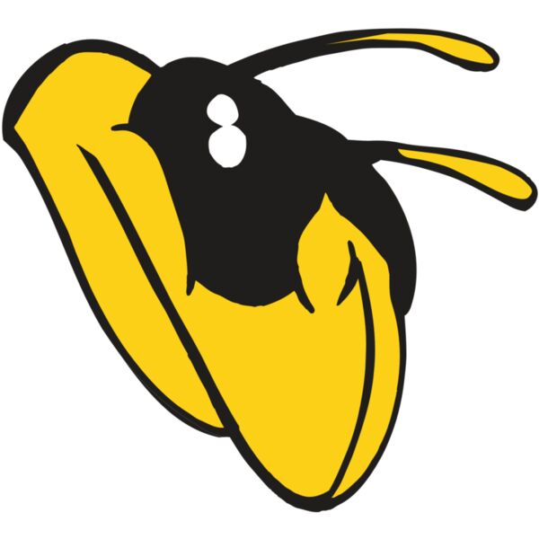 AR5 BEE 23 RQC Miniaturansicht