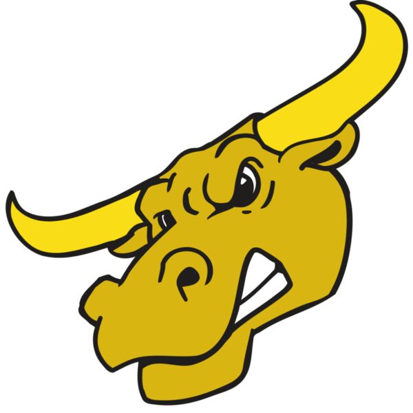 AR BULL 29 RC Miniaturansicht