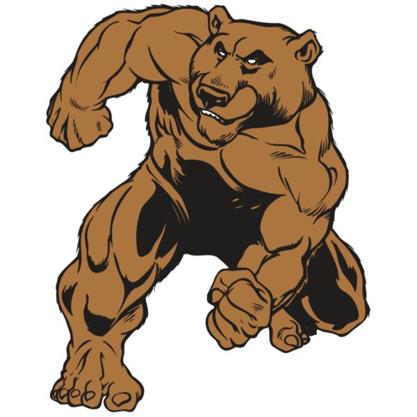 AR BEAR 35 RC Miniaturansicht