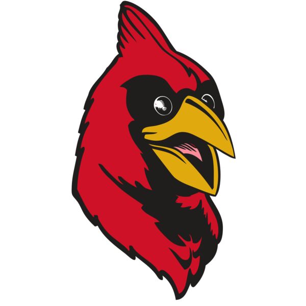 BAW CARDINAL 05 RC Miniaturansicht