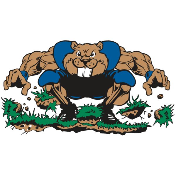 AR14 BEAVER FBLL 04 RQC Miniaturansicht