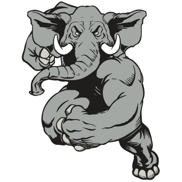 AR ELEPH 18 RC Miniaturansicht