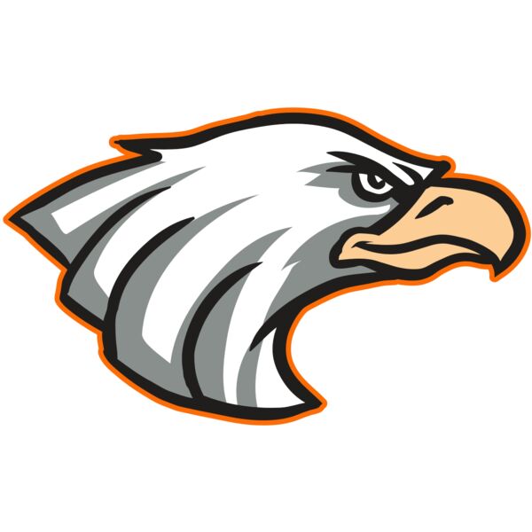 AR16 EAGLE 01 RQ Miniaturansicht