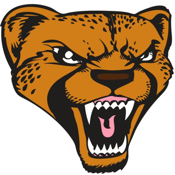 BAW CHEETAH 12 RC Miniaturansicht