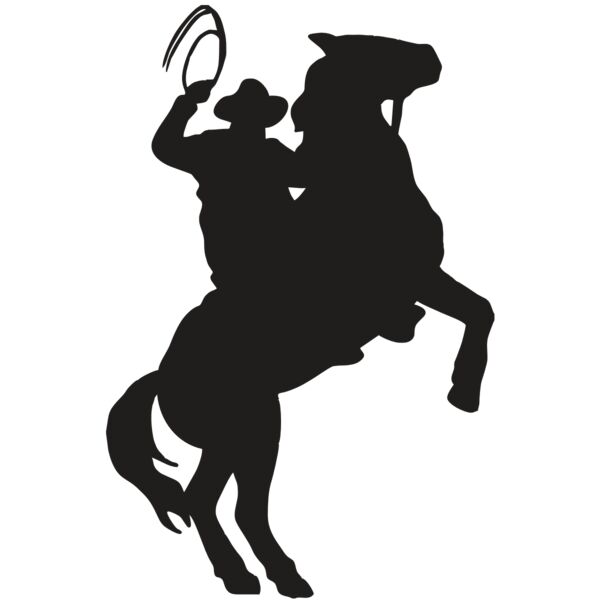 AR COWBOY 26 RC Miniaturansicht