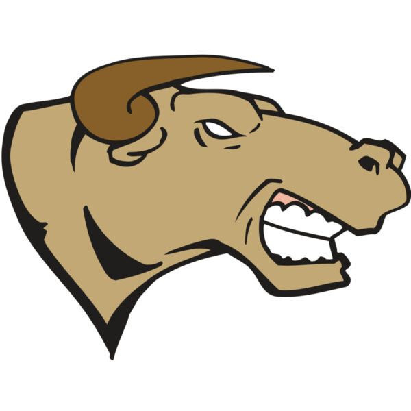 AR BULL 30 RC Miniaturansicht