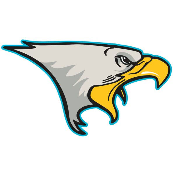 AR14 EAGLE FBALL 01 RQC Miniaturansicht