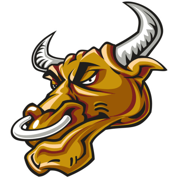 BULL HD0502 RQC Miniaturansicht