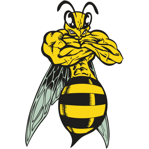 BAW BEE 16 RC Miniaturansicht