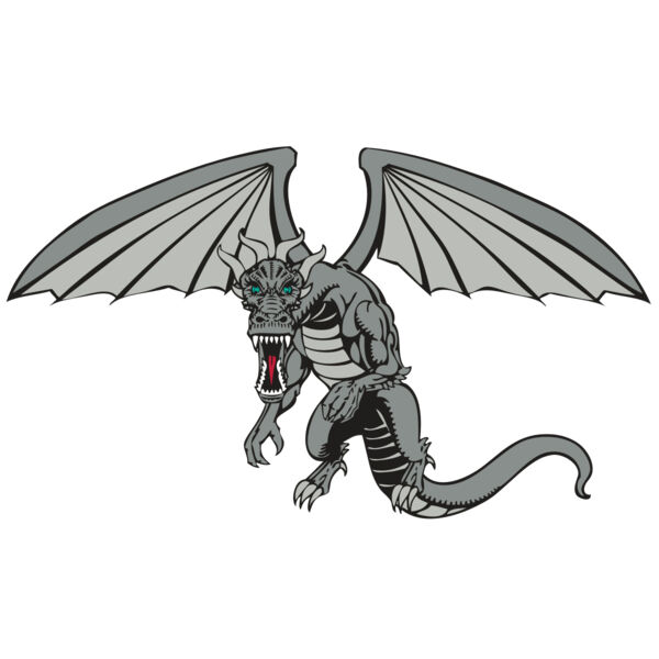 BAW DRAGON 04 RC Miniaturansicht