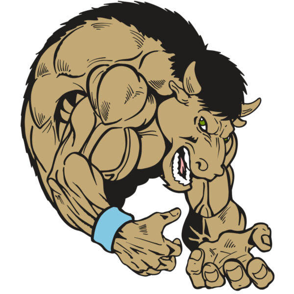 AR5 BUFFALO 12 RQC Miniaturansicht