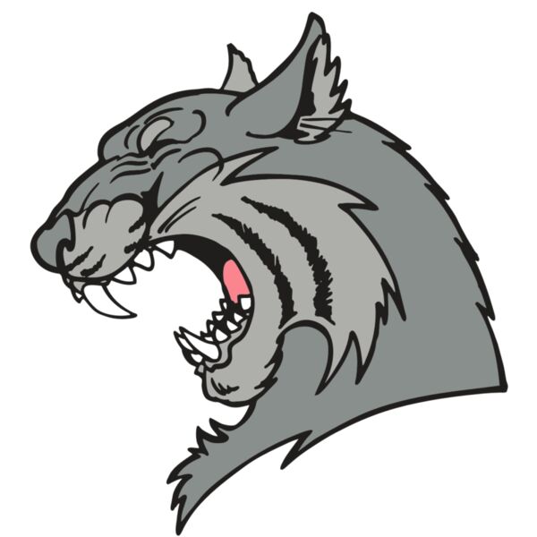 AR WILDCAT 41 RC Miniaturansicht