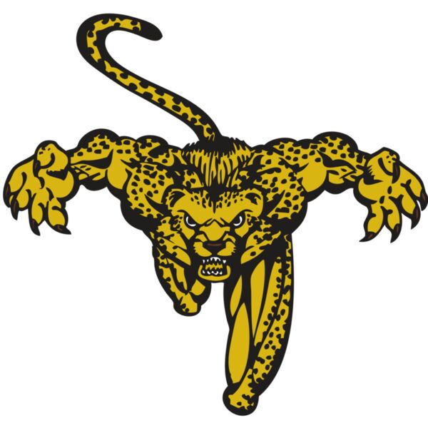 BAW CHEETAH 08 RC Miniaturansicht