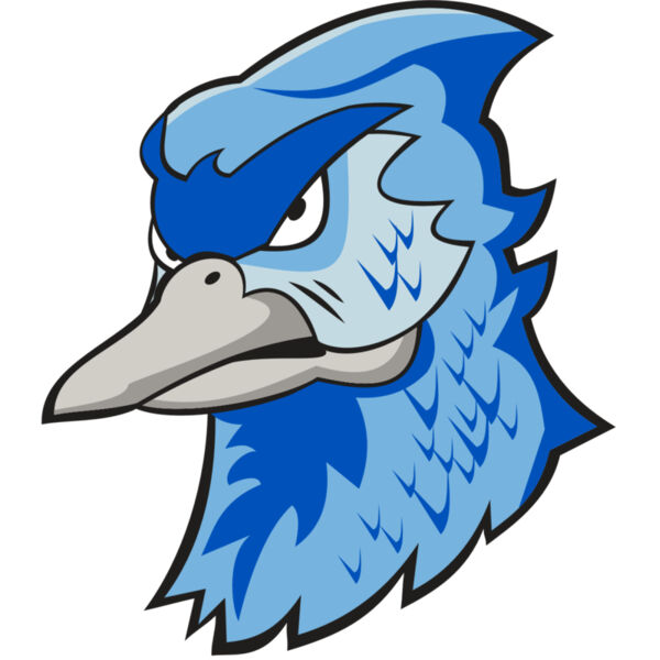 BLUEJAY HD0501 RQC Miniaturansicht