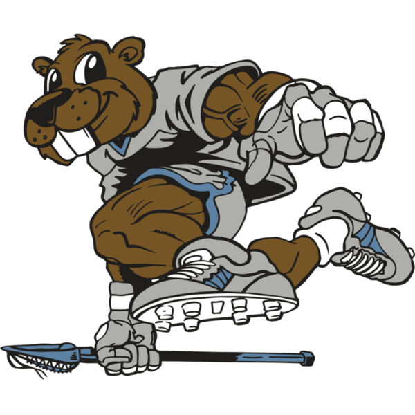 AR8 BEAVER 04 RQC Miniaturansicht