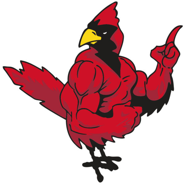 AR CARDINAL 27 RC Miniaturansicht