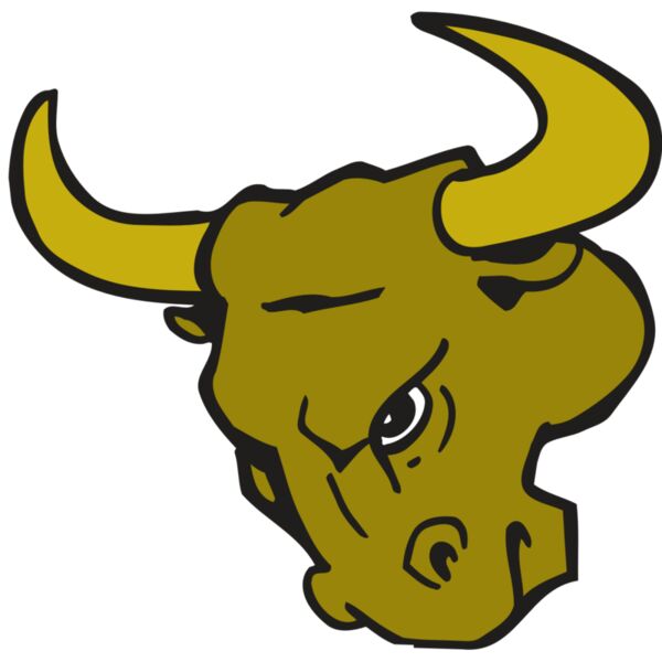 AR BULL 26 RC Miniaturansicht