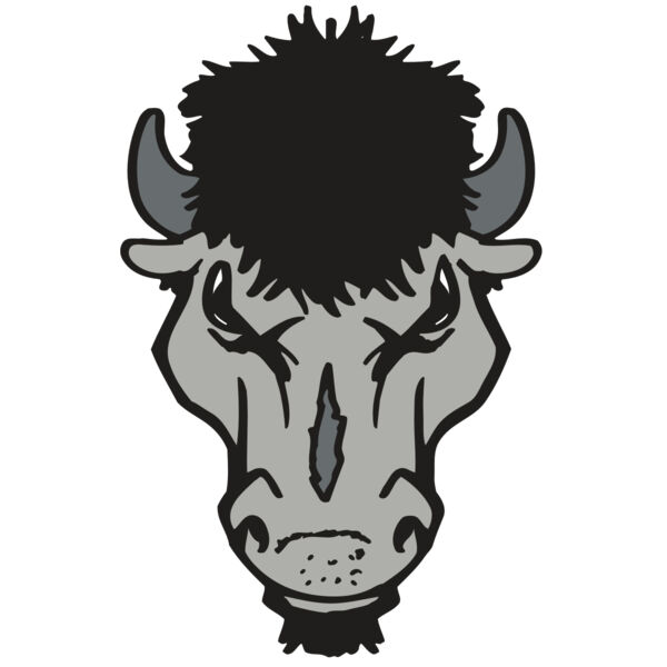 AR BUFFALO 15 RC Miniaturansicht