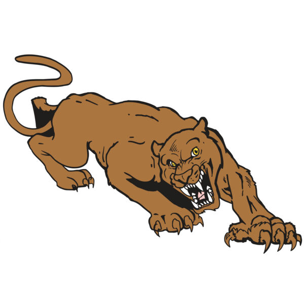 AR5 COUGAR 41 RQC Miniaturansicht