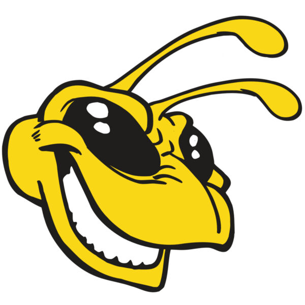 AR5 BEE 24 RQC Miniaturansicht