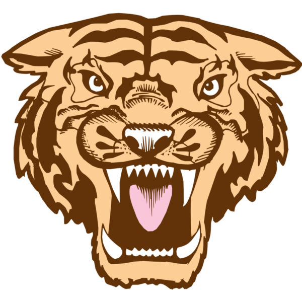 BAW TIGER 05 RC Miniaturansicht