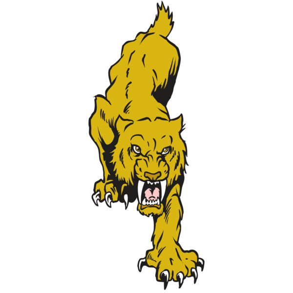 AR30 SABER 08 RQC Miniaturansicht