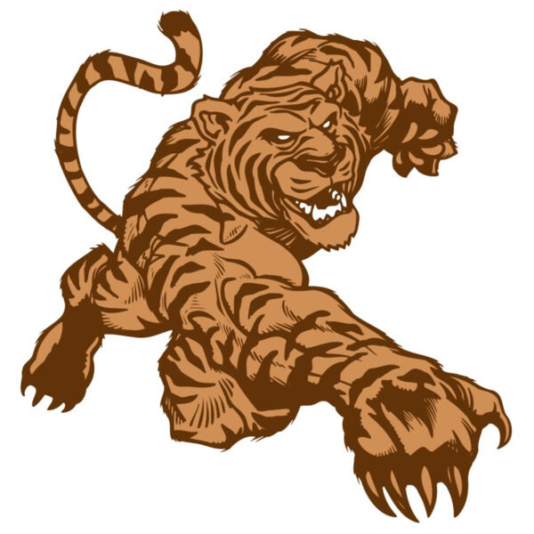 AR TIGER 56 RC Miniaturansicht