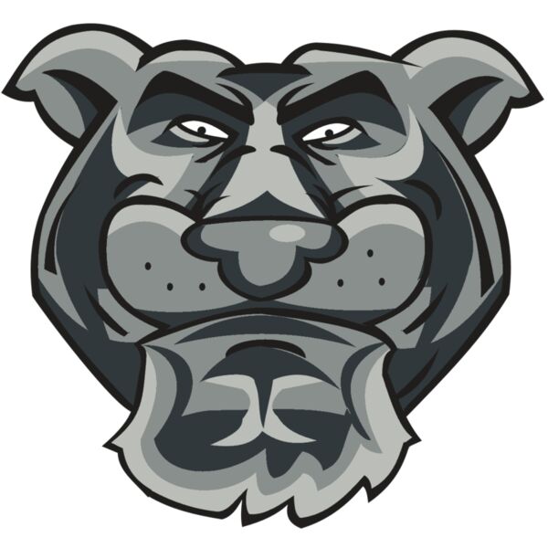 PANTHER HD0501 RQC Miniaturansicht