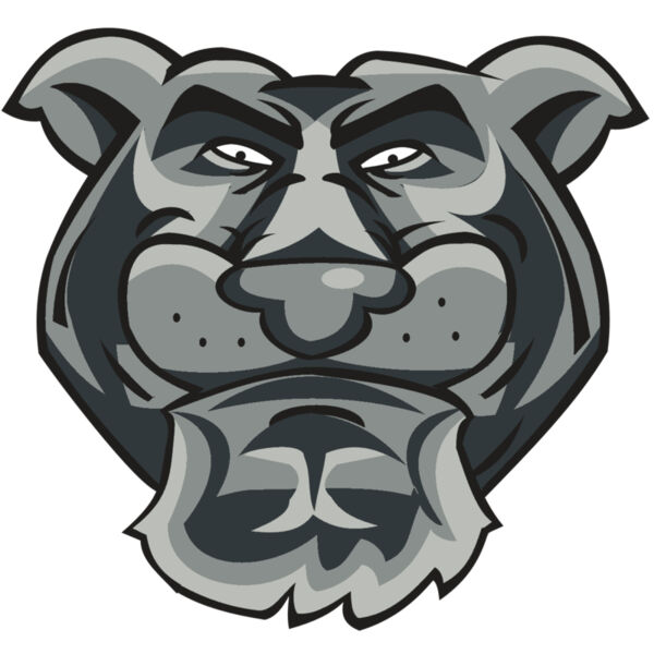 PANTHER HD0501 RQC Miniaturansicht