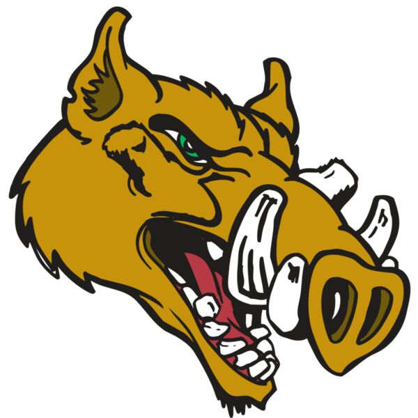 AR RAZORBACK 17 RC Miniaturansicht