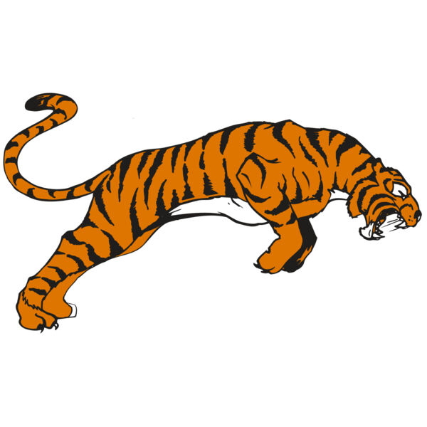 AR TIGER 79 RC Miniaturansicht