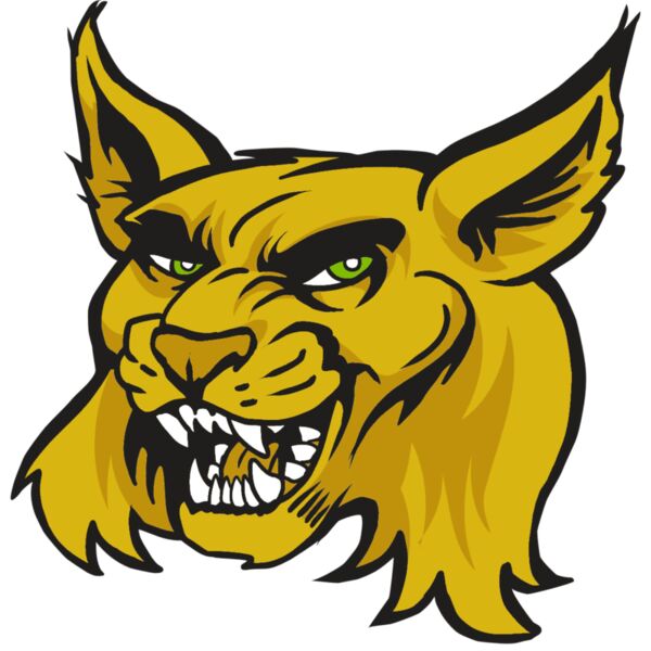 AR30 WILDCAT 03 RQC Miniaturansicht