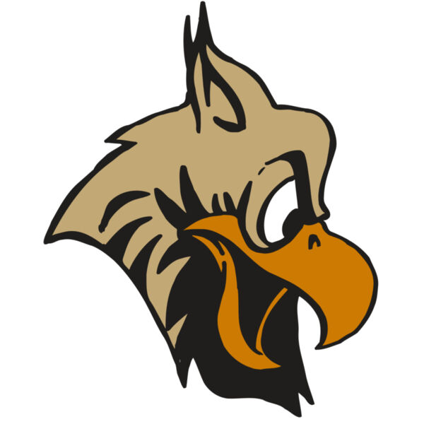 AR5 Owl 11 RQC Miniaturansicht