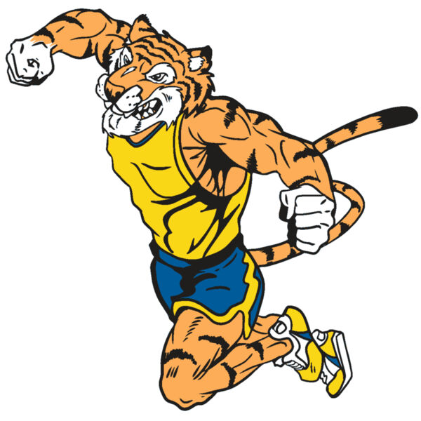 AR9 TIGER TRK RQC Miniaturansicht