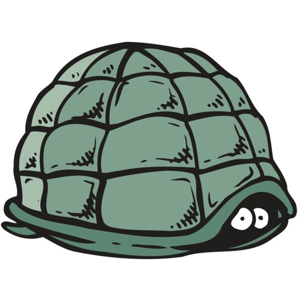 AR5 Turtle 10 RQC Miniaturansicht