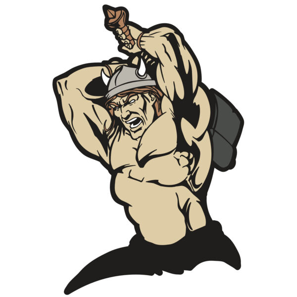 AR VIKING 19 RC Miniaturansicht