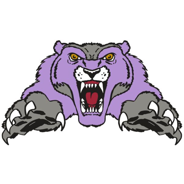 AR WOLVERINE 17 RC Miniaturansicht