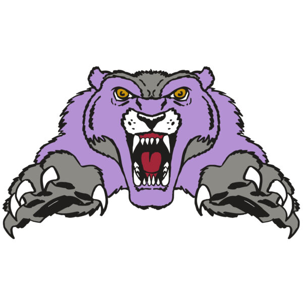 AR WOLVERINE 17 RC Miniaturansicht