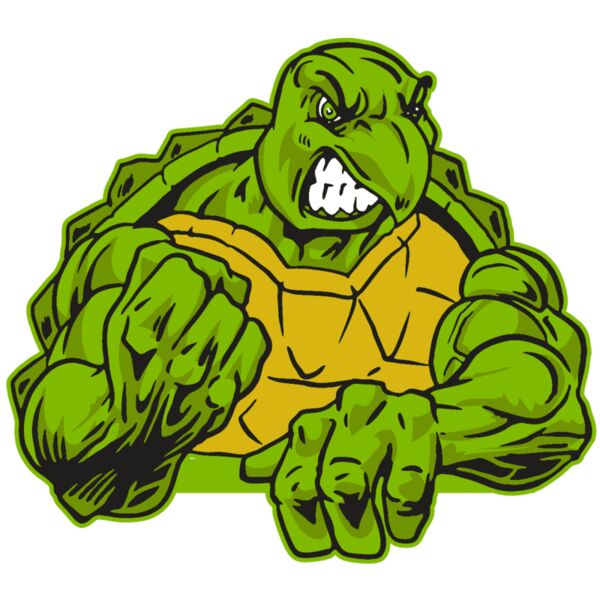 AR31 TURTLE 01 RQC Miniaturansicht